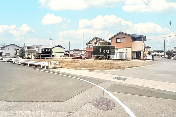 ※現地写真［1号地］