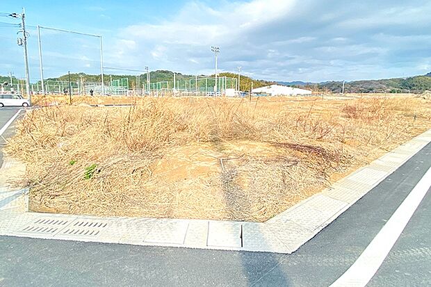 ※現地写真［23号地］