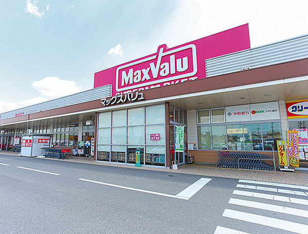 マックスバリュ桜が丘店