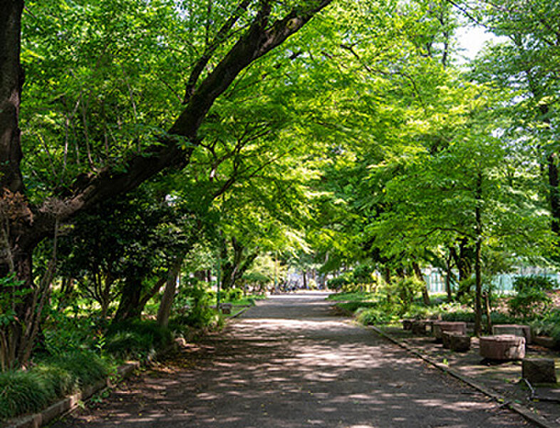 【レジャー】旭が丘中央公園