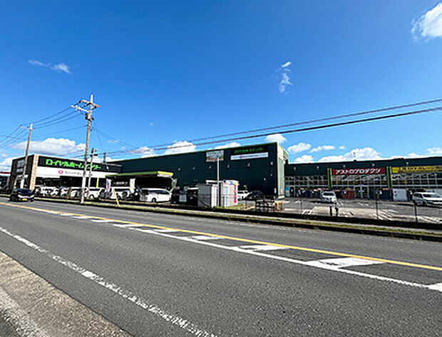 ロイヤルホームセンター習志野