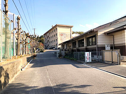 滝尾中学校 約460m