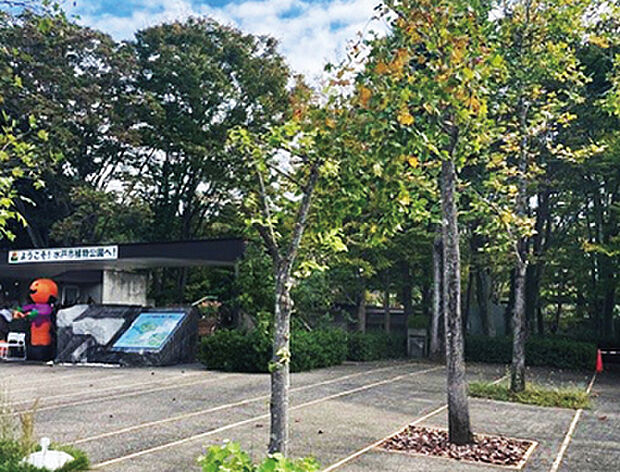 水戸市植物公園