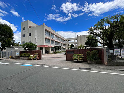 熊本市立帯山小学校 約740m