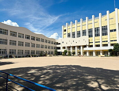 神戸市立若宮小学校 約350m