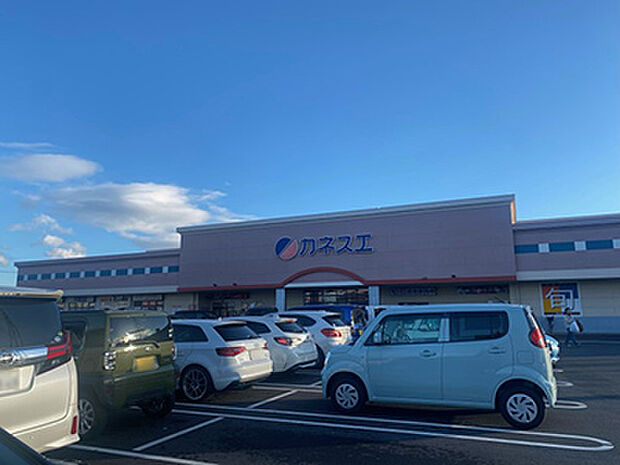 カネスエ日永店