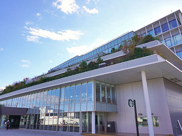 文化創造拠点シリウス