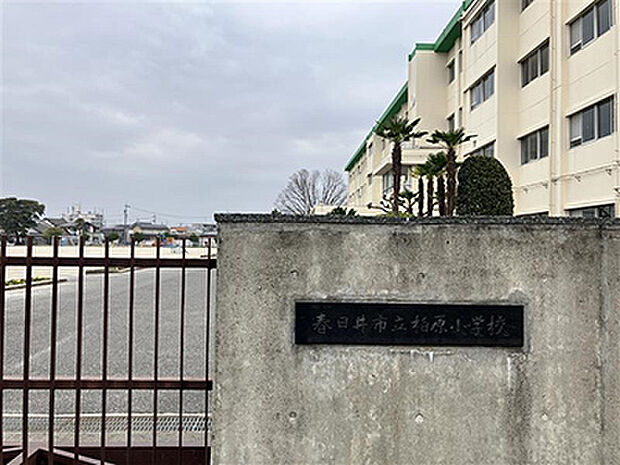 柏原小学校