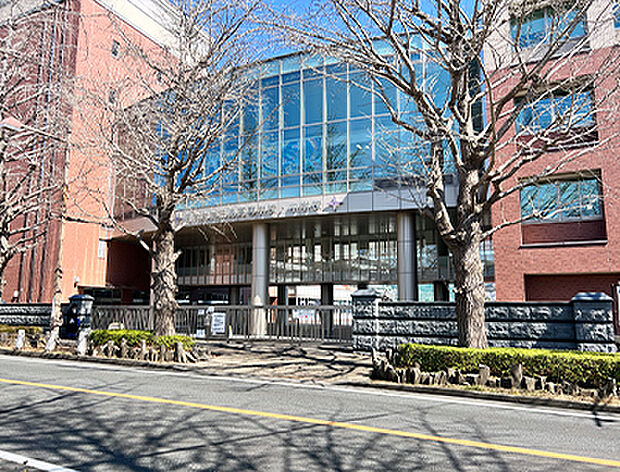 日本大学三島高等学校、中学校