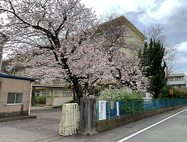 三島市立西小学校