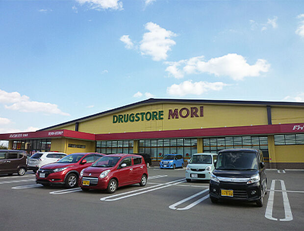 ドラッグストアモリ尼寺店