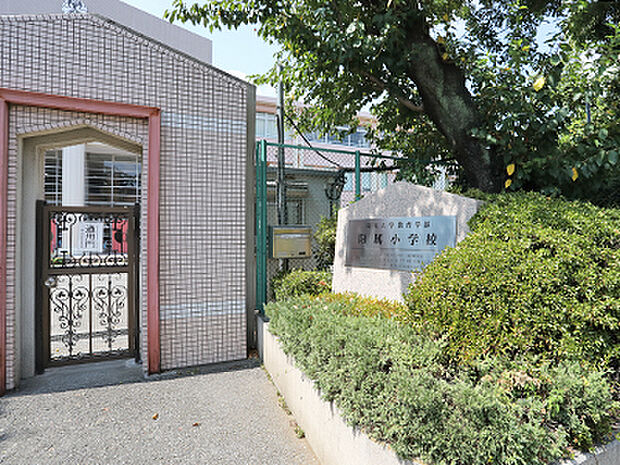 埼玉大学教育学部附属小学校