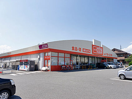 ザ・ビッグ甲斐敷島店 約830m