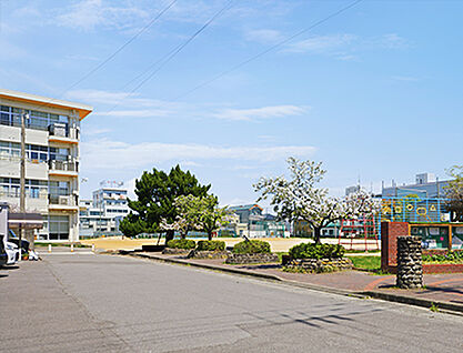 徳島市福島小学校 約750m