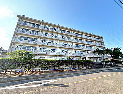 千葉市立小中台南小学校 約550m