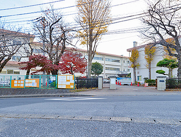 千葉市立稲毛中学校