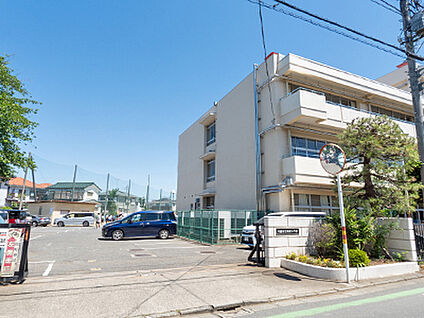 新宿小学校 約150m