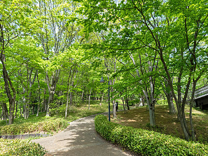 都筑中央公園 約320m