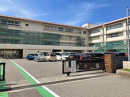 伏見台小学校 約310m