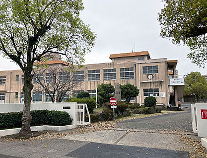 鹿児島市立鴨池中学校 約550m