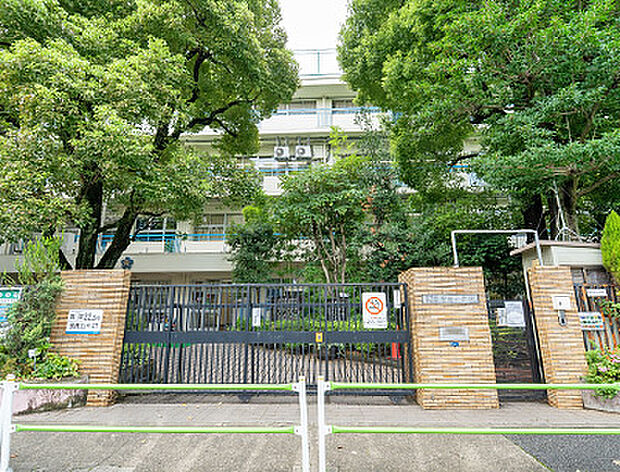 区立青南小学校