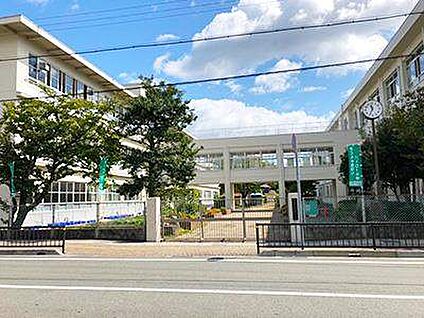 姫路市立城陽小学校 約1400m