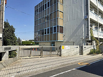 武蔵野市立第三中学校 約1100m