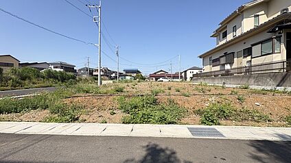 現地写真