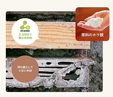 防蟻処理「ホウ酸処理」