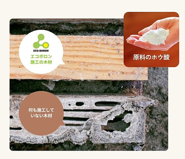 【防蟻処理「ホウ酸処理」】気化せず人体に無害な防蟻処理