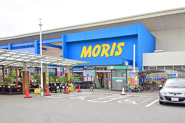 モリスホームセンター緑丘店(約610m)