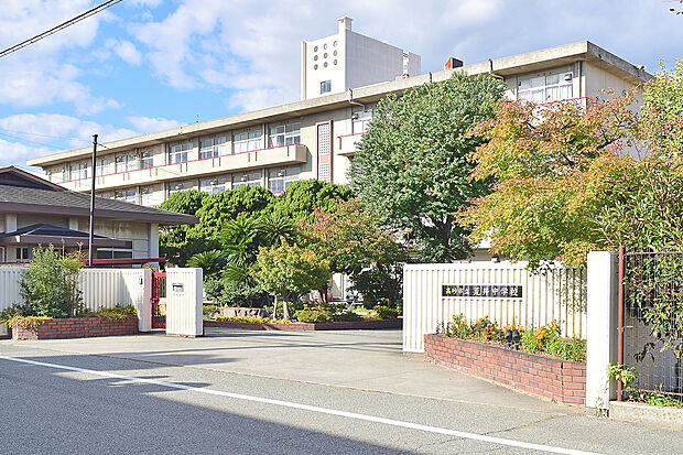 市立荒井中学校(約470m)