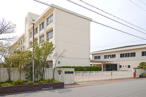 町立播磨南小学校(約1,110m)
