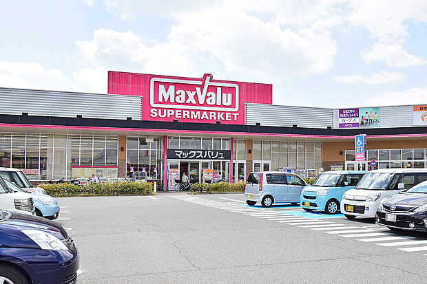 マックスバリュ大久保西店(約630m)