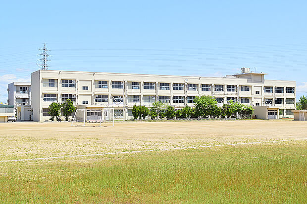 町立播磨中学校（約350m）