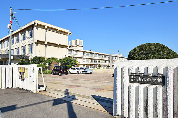 姫路市立城北小学校（約320m）