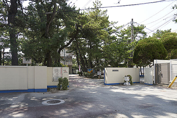 福岡市立「百道」中学校（約2,230m）