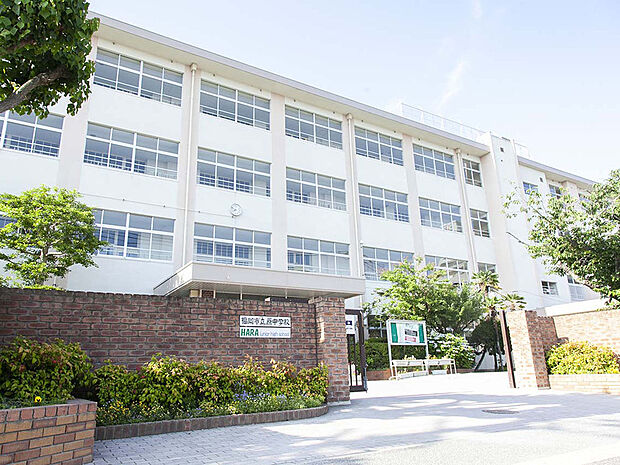福岡市立「原」中学校（約800m）