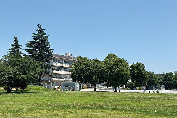 高田小学校(現地より徒歩10分)