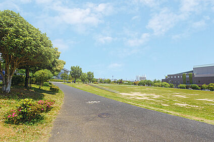 柏リフレッシュ公園（現地より徒歩16分） 約1210m