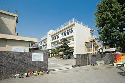 光ヶ丘小学校（現地より徒歩12分） 約910m
