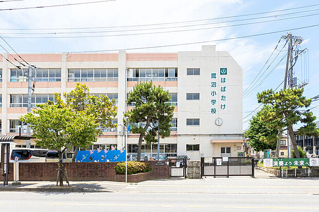 鷺沼小学校(現地より徒歩12分)