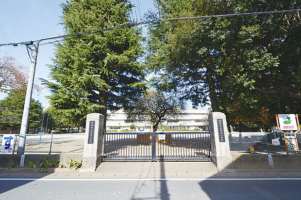 南部小学校(現地より徒歩16分)