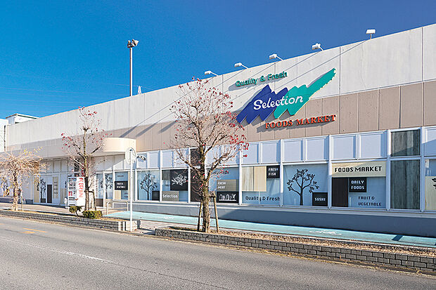 セレクションしいの木台店(現地より徒歩11分)