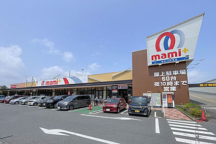 マミープラス柏若葉町店（現地より徒歩8分） 約620m