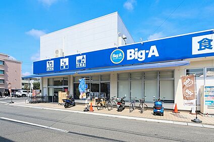 ビッグ・エー東みずほ台一丁目店（現地より徒歩12分） 約960m