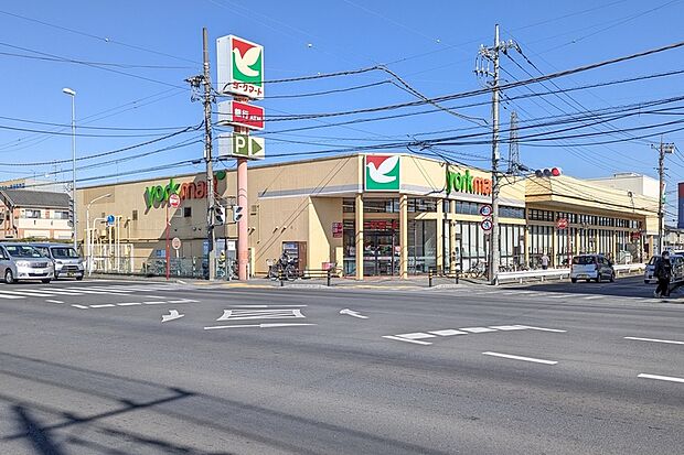 ヨークマート 桶川店（現地より徒歩14分）
