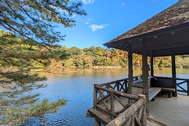 石神井公園（現地より徒歩7分）