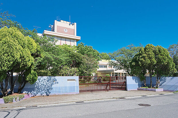 牛島小学校（現地より徒歩12分）