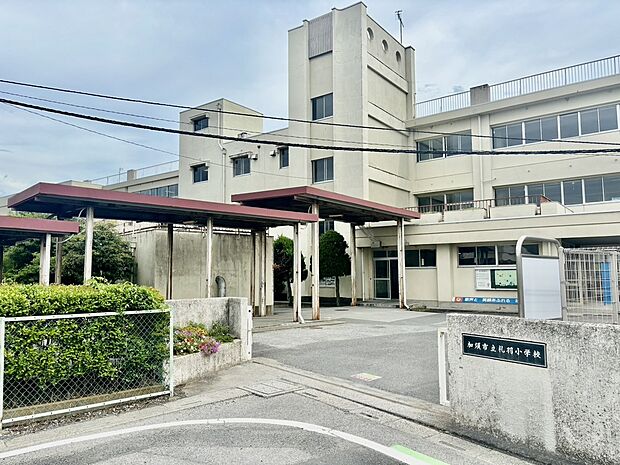 加須市立礼羽小学校（約500m）